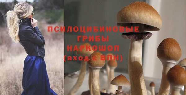 мяу мяу мука Бородино