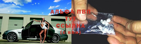 мяу мяу мука Бородино