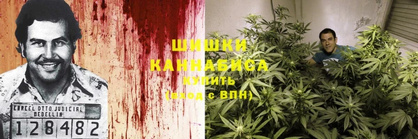 МДПВ Осинники