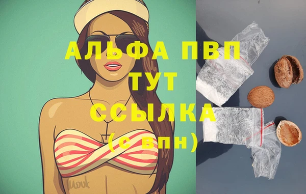 мяу мяу мука Бородино