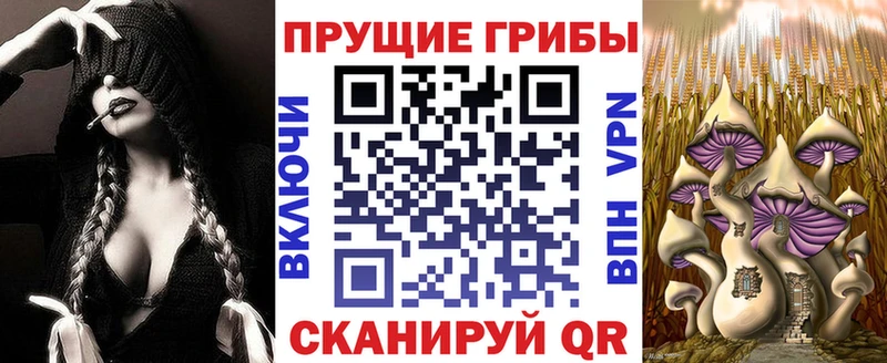 наркошоп  Дигора  Псилоцибиновые грибы ЛСД 